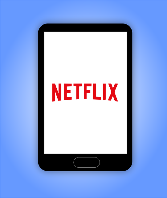 netflix v telefonu
